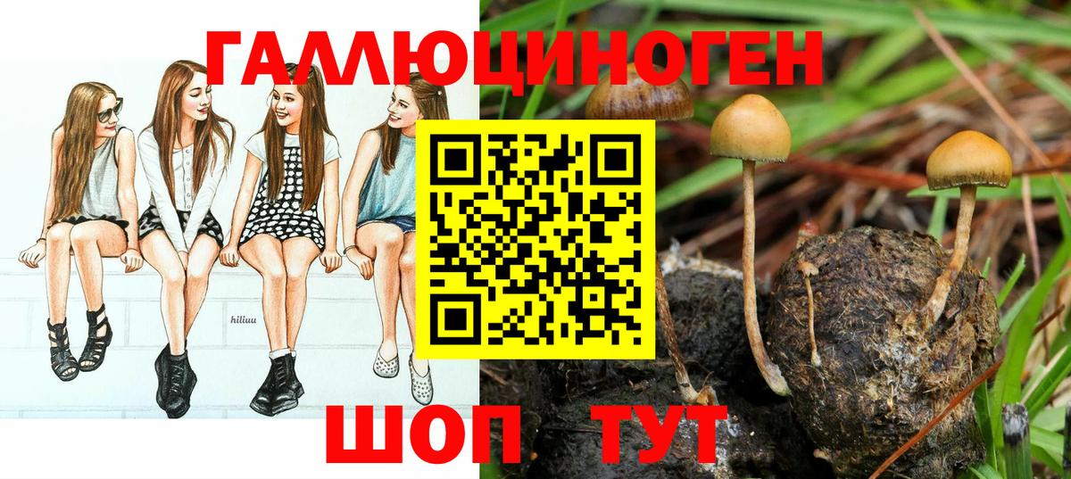 Зеленокумск  Псилоцибиновые грибы мицелий  Вход с VPN 