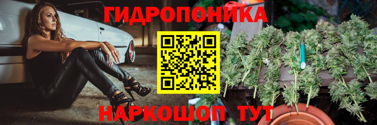Марихуана OG Kush Зеленокумск