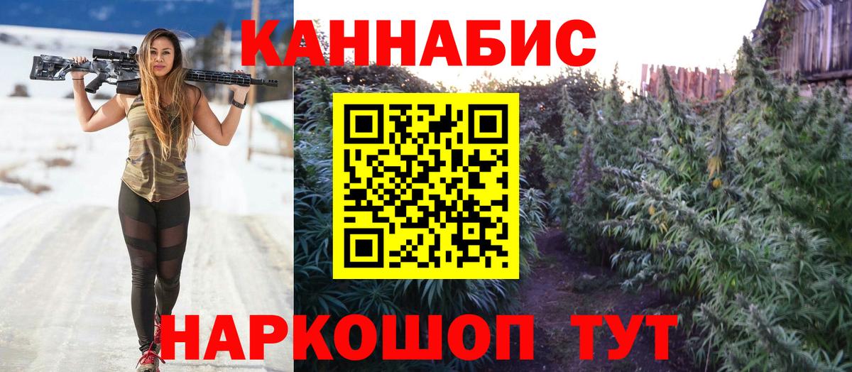 Каннабис планчик  Марихуана планчик  Канабис марихуана  Бошки марихуана конопля  Вход с VPN  Зеленокумск 